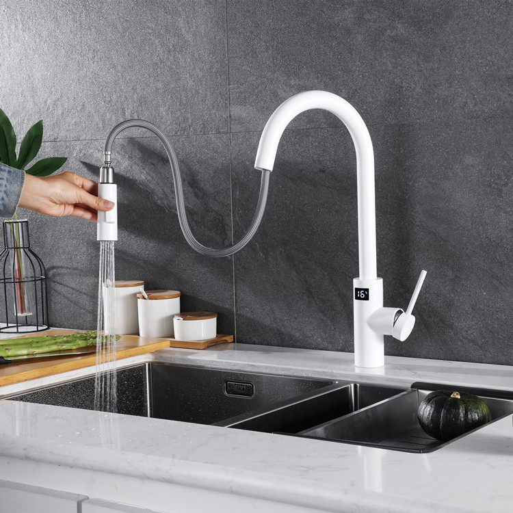 White Touch on Digital Kitchen - Commercial Kitchen Faucet review and price