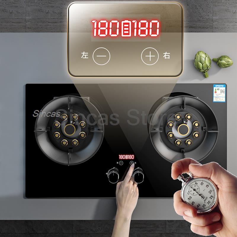 Two-burner Gas Stove Desktop F - Commercial Kitchen Stove review and price