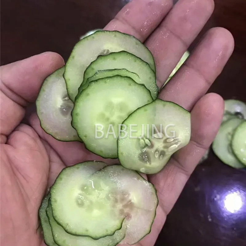 Electric Mini Scallion Chopper - Commercial Kitchen Appliance review and price
