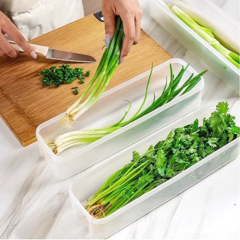 1/2/4Pcs Green Onion Fresh-kee - Commercial Kitchen Refrigerator review and price