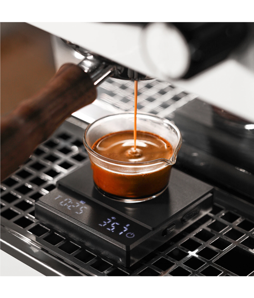 Kitchen Coffee Scale with Time - Commercial Kitchen Timer review and price